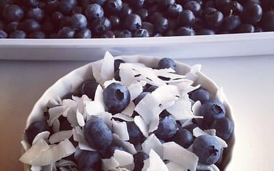 Blueberries and coconut flakes