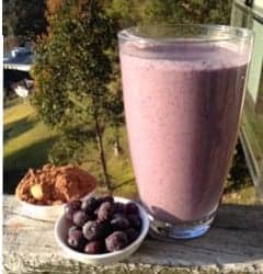 MOVE Cacao Smoothie