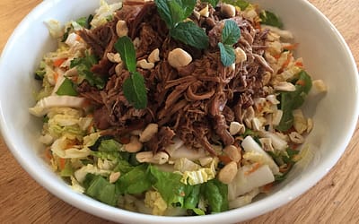 Slow cooked lamb and asian salad